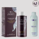 Hair Company Inimitable Color Oil 10.2 Platinum Amethyst 100 ml + 20 Vol. (6%) Oxidant Emulsion